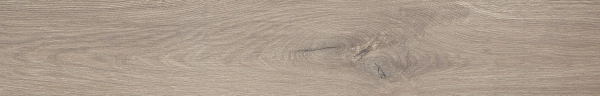 Roots Taupe Matt R9 20x120 RT fPV0