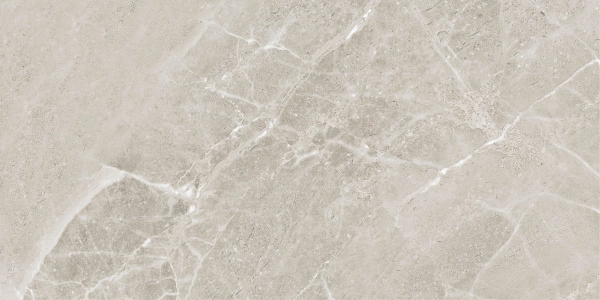 Colemanite Stone Grey Rect 60x120