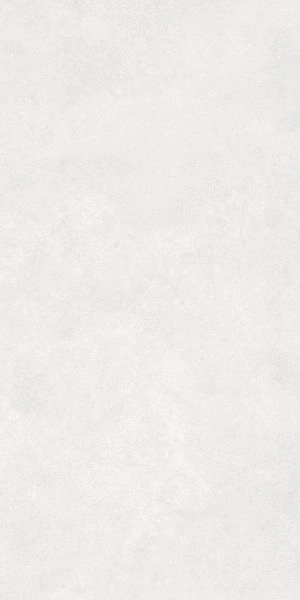 UrbanChic Белый Матовый R10A Ректификат 60х120 K958012R0001VTER