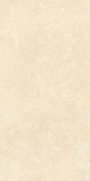 SandStone Песочный Мат R10A 60x120 K948598R0001VTER