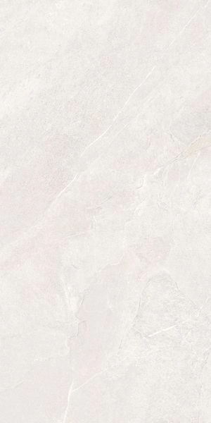 ArdeStone Белый Мат R10A 60x120 K948672R0001VTER