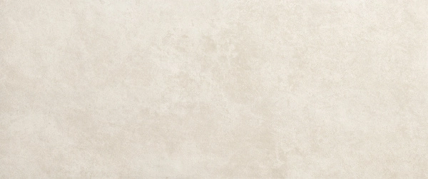 NB White Matt 50x120 fRXK