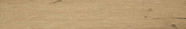 Roots Honey Matt R9 20x120 RT fPVZ