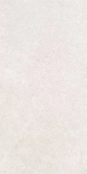 SandStone Белый Мат R10A 60x120 K948597R0001VTER