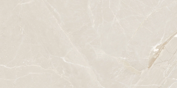 Colemanite Stone Light Rect 60x120