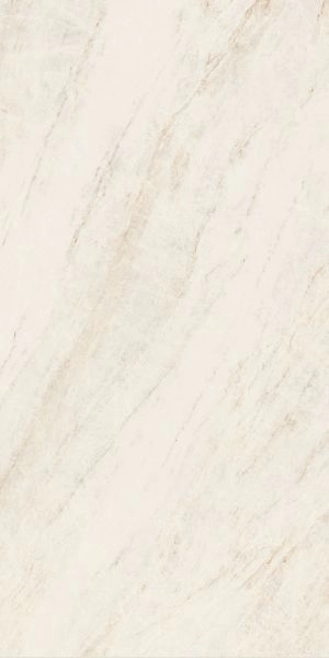 Oyster White Ret 60х120
