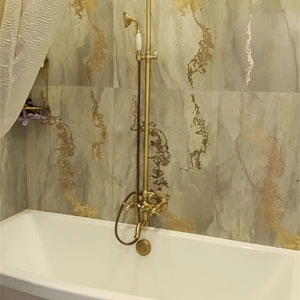 Проект Venus Проект Venus